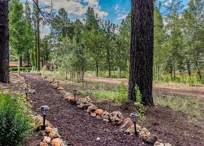 Cozy Hilltop Retreat Quiet Street Near Downtown And Nau Private Forested Setting Mountainaire