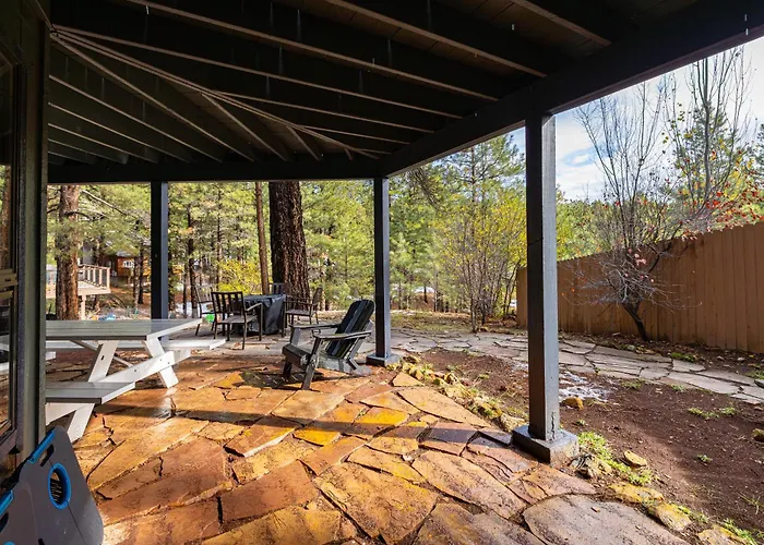 Cozy Hilltop Retreat Quiet Street Near Downtown And Nau Private Forested Setting Apartment *