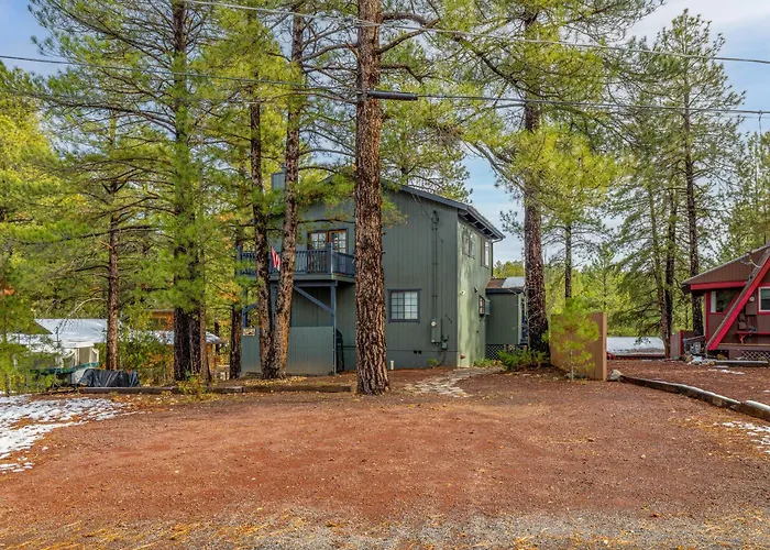 Apartment Cozy Hilltop Retreat Quiet Street Near Downtown And Nau Private Forested Setting