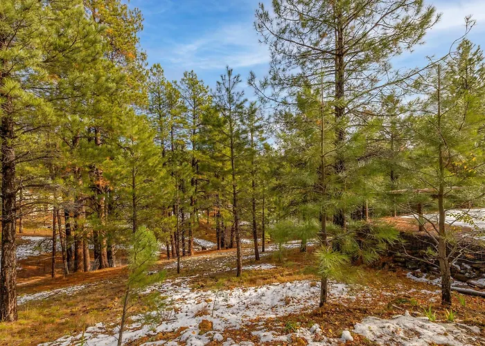 Apartment Cozy Hilltop Retreat Quiet Street Near Downtown And Nau Private Forested Setting Mountainaire
