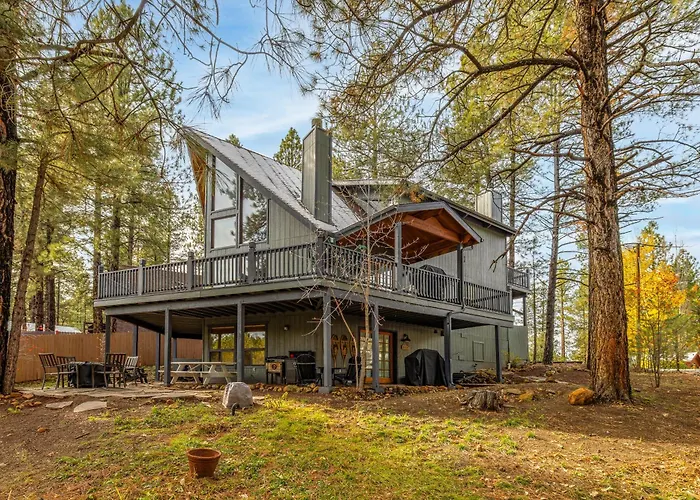 Apartment Cozy Hilltop Retreat Quiet Street Near Downtown And Nau Private Forested Setting Mountainaire