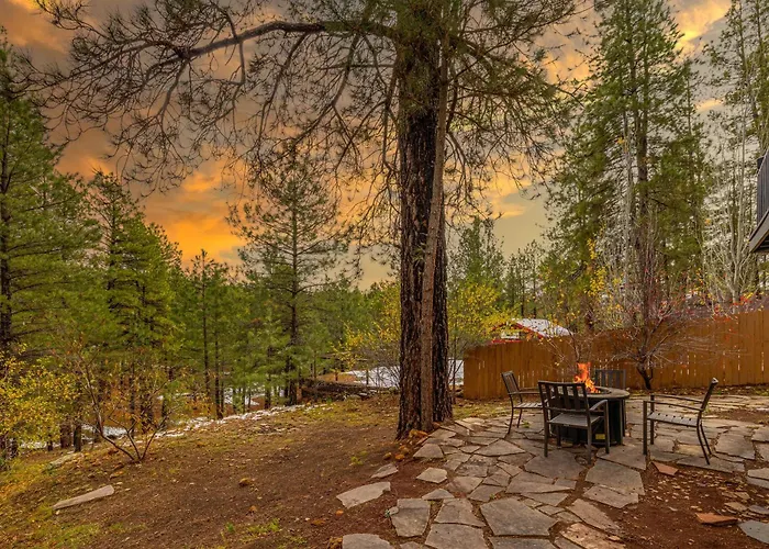 Apartment Cozy Hilltop Retreat Quiet Street Near Downtown And Nau Private Forested Setting *