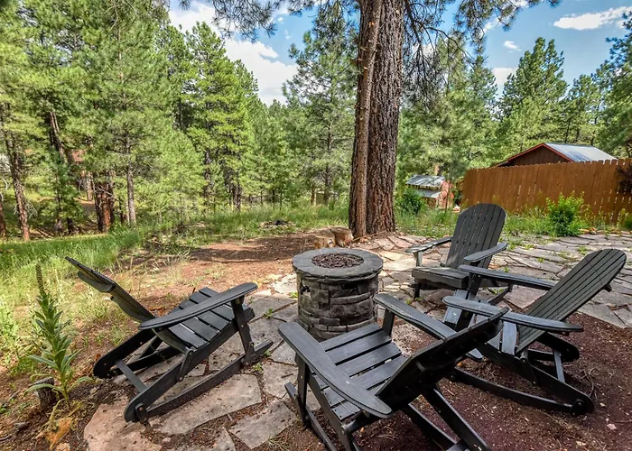 Cozy Hilltop Retreat Quiet Street Near Downtown And Nau Private Forested Setting Apartment *